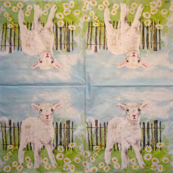 011 Sheep - 3-ply (11)